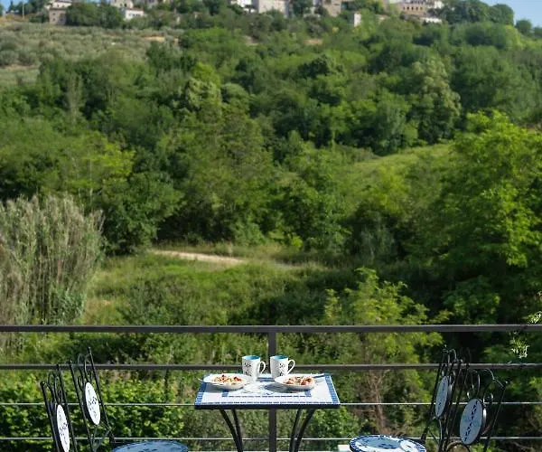 Toro Motovun
